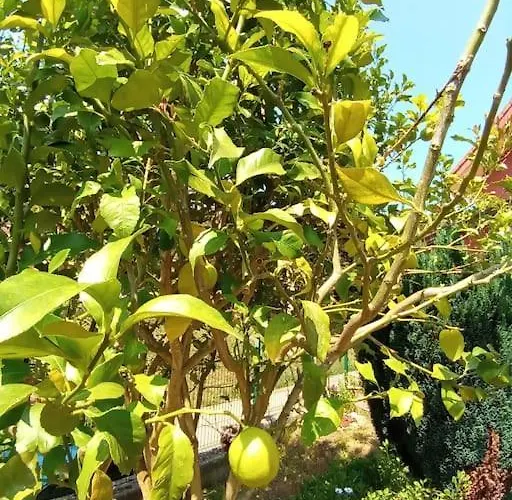 El Rincon De Voto Hébergement de vacances